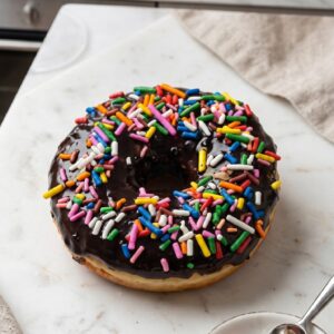 Classic Chocolate Sprinkle Donut